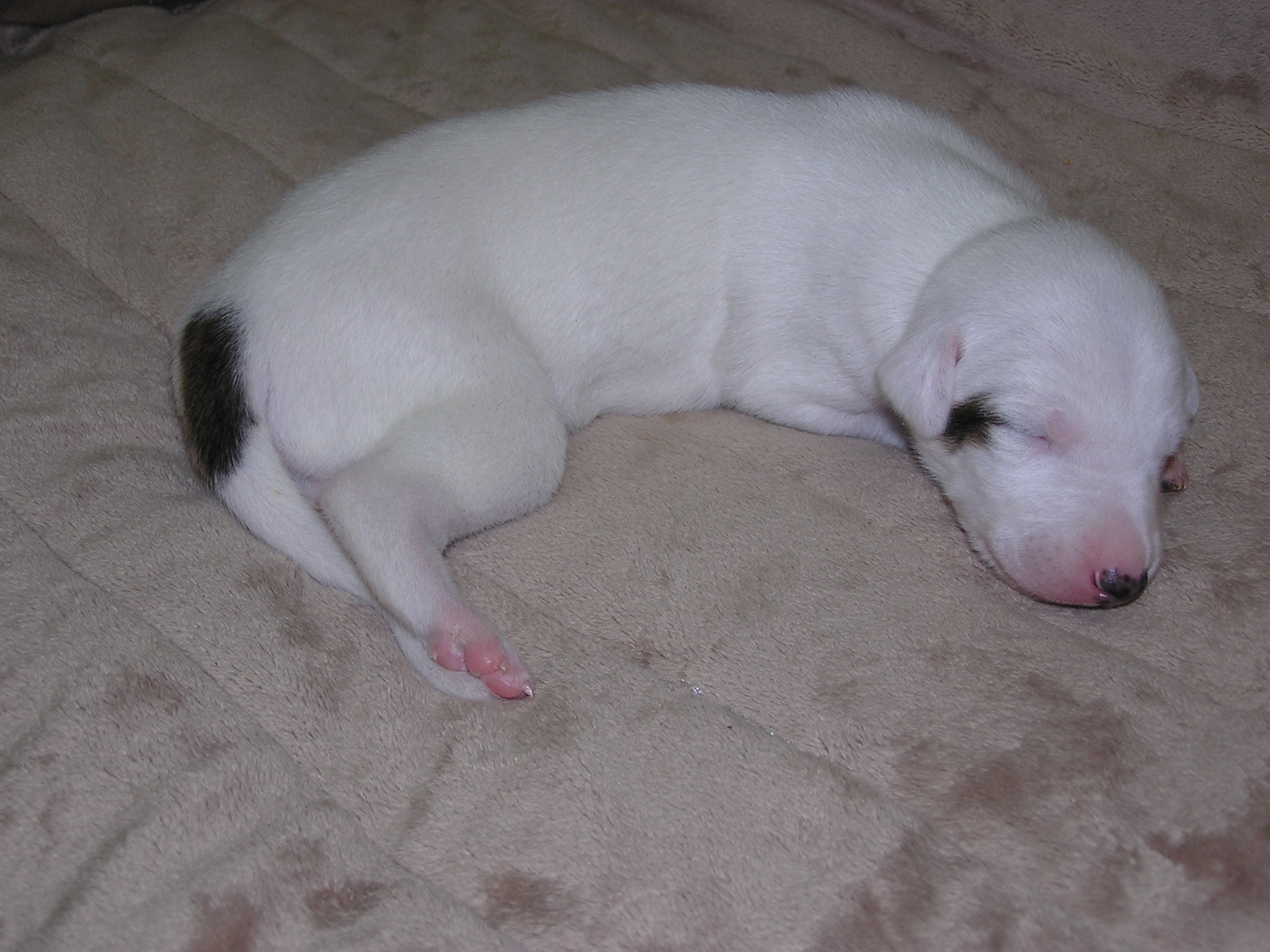 Ann 24.3.2010